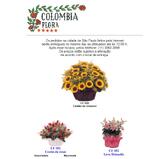 Colombia Flora